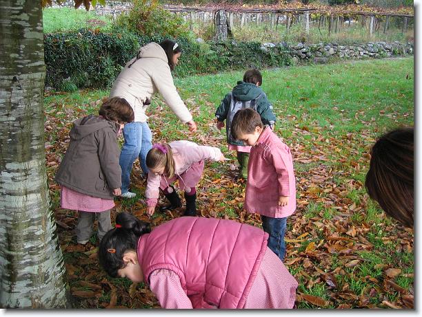 Diapositiva siguiente